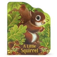 bokomslag A Little Squirrel