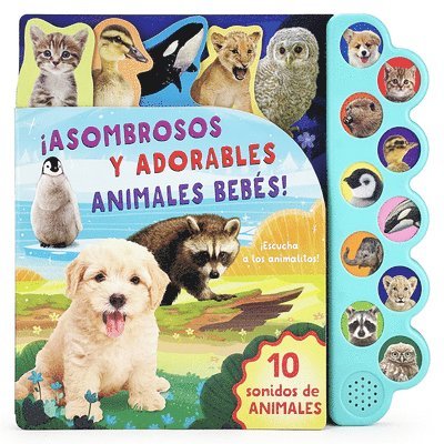 Rose Nestling, Parragon Books - Asombrosos Y Adorables Animales Bebés / Amazing, Adorable Animal Babies (Spanish Edition), Kartonnage