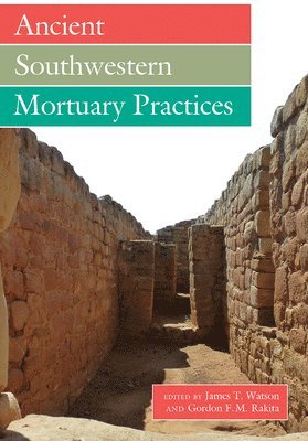 bokomslag Ancient Southwestern Mortuary Practices