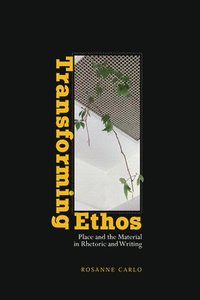 bokomslag Transforming Ethos