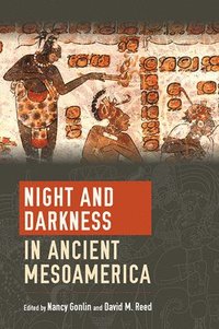 bokomslag Night and Darkness in Ancient Mesoamerica