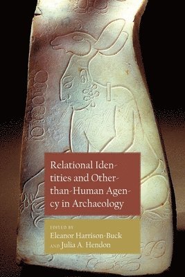 bokomslag Relational Identities and Other-than-Human Agency in Archaeology