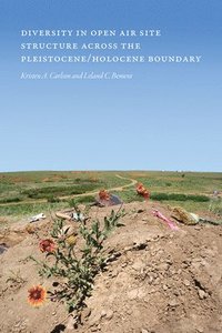 bokomslag Diversity in Open-Air Site Structure across the Pleistocene/Holocene Boundary