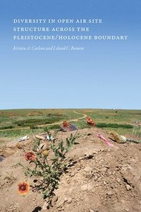 bokomslag Diversity in Open-Air Site Structure Across the Pleistocene/Holocene Boundary