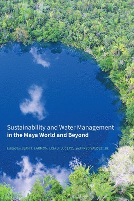 bokomslag Sustainability and Water Management in the Maya World and Beyond