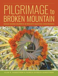 bokomslag Pilgrimage to Broken Mountain