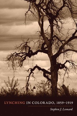 bokomslag Lynching in Colorado, 1859-1919