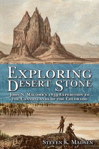 bokomslag Exploring Desert Stone