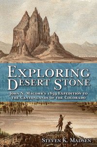 bokomslag Exploring Desert Stone
