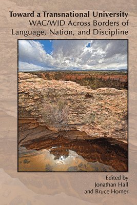 Jonathan Hall, Bruce Horner - Toward a Transnational University, Häftad