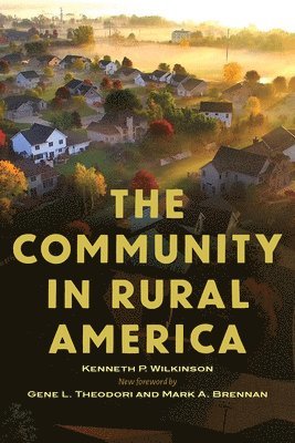 bokomslag Community in Rural America