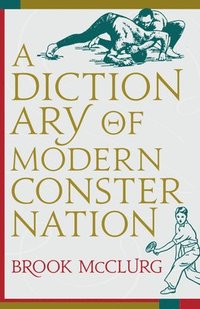 bokomslag A Dictionary of Modern Consternation