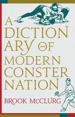 A Dictionary of Modern Consternation 1