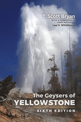 bokomslag The Geysers of Yellowstone