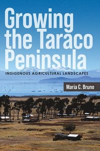 bokomslag Growing the Taraco Peninsula