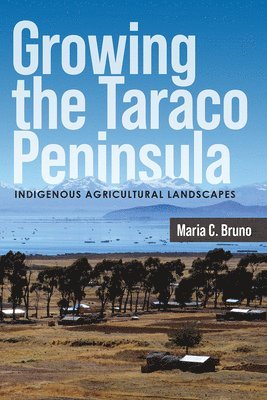 Growing the Taraco Peninsula 1