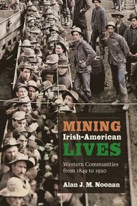 bokomslag Mining Irish-American Lives: Western Communities from 1849 to 1920 Volume 1