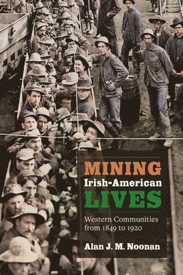 Alan J. M. Noonan - Mining Irish-American Lives, Häftad