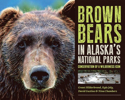 Brown Bears in Alaska's National Parks 1