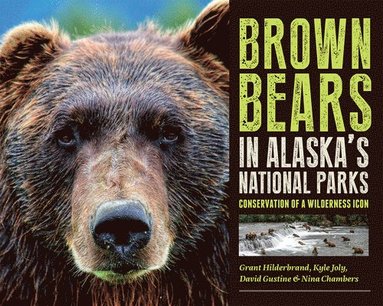 bokomslag Brown Bears in Alaska's National Parks