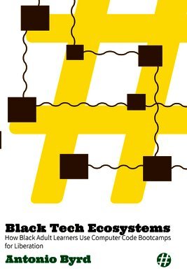 Black Tech Ecosystems: How Black Adult Learners Use Computer Code Bootcamps for Liberation
