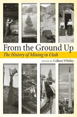Colleen Whitley - From the Ground Up, Häftad
