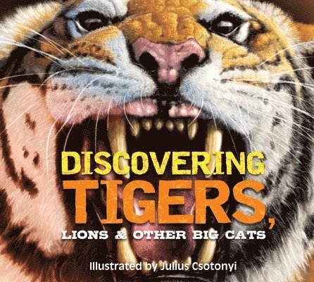 Discovering Tigers, Lions and   Other Cats 1