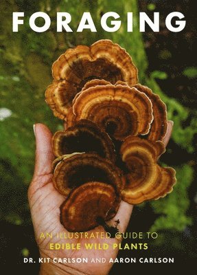 Cider Mill Press, Aaron Carlson - Foraging, Häftad
