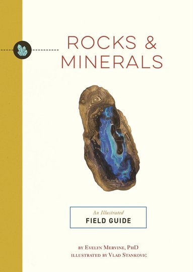 Evelyn Mervine - Rocks and   Minerals, Häftad