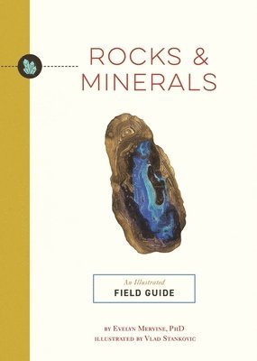 Rocks and   Minerals 1