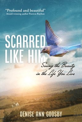 Denise A Goosby, Denise A. Goosby, A Goosby, Denise - Scarred Like Him, Häftad