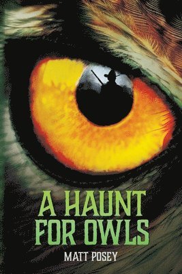 bokomslag Haunt for Owls