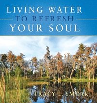 bokomslag Living Water to Refresh Your Soul