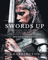 bokomslag Swords Up