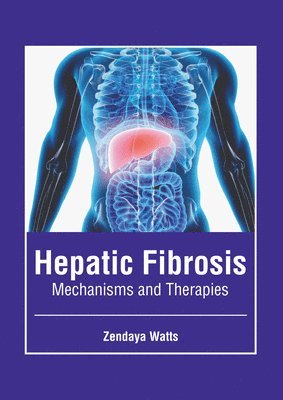 bokomslag Hepatic Fibrosis: Mechanisms and Therapies