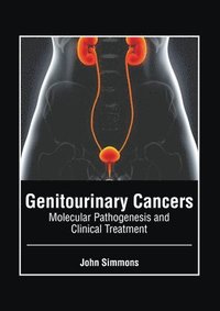 bokomslag Genitourinary Cancers: Molecular Pathogenesis and Clinical Treatment