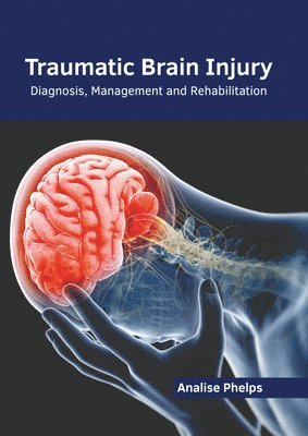 bokomslag Traumatic Brain Injury: Diagnosis, Management and Rehabilitation