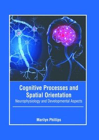 bokomslag Cognitive Processes and Spatial Orientation: Neurophysiology and Developmental Aspects