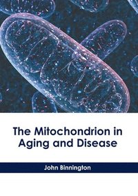 bokomslag The Mitochondrion in Aging and Disease