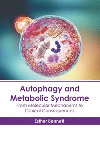 bokomslag Autophagy and Metabolic Syndrome: From Molecular Mechanisms to Clinical Consequences