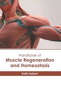 bokomslag Handbook of Muscle Regeneration and Homeostasis