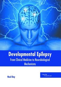 bokomslag Developmental Epilepsy: From Clinical Medicine to Neurobiological Mechanisms
