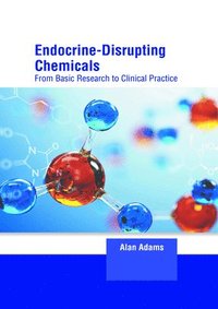bokomslag Endocrine-Disrupting Chemicals: From Basic Research to Clinical Practice