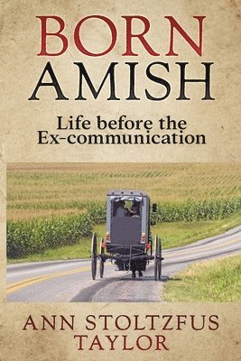 bokomslag Born Amish