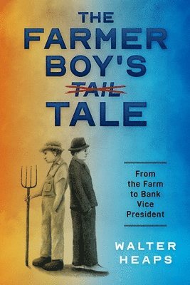 bokomslag Farmer Boy's Tale