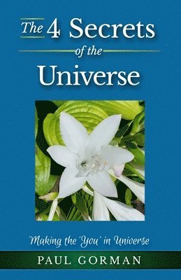 Paul Gorman - 4 Secrets of the Universe, Häftad