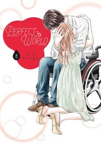 bokomslag Perfect World 8