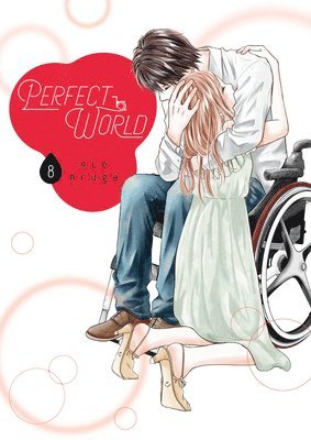 bokomslag Perfect World 8