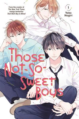 Those Not-So-Sweet Boys 1 1