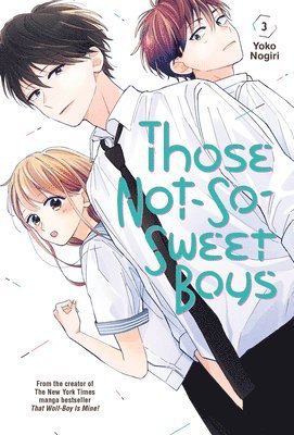 Those Not-So-Sweet Boys 3 1